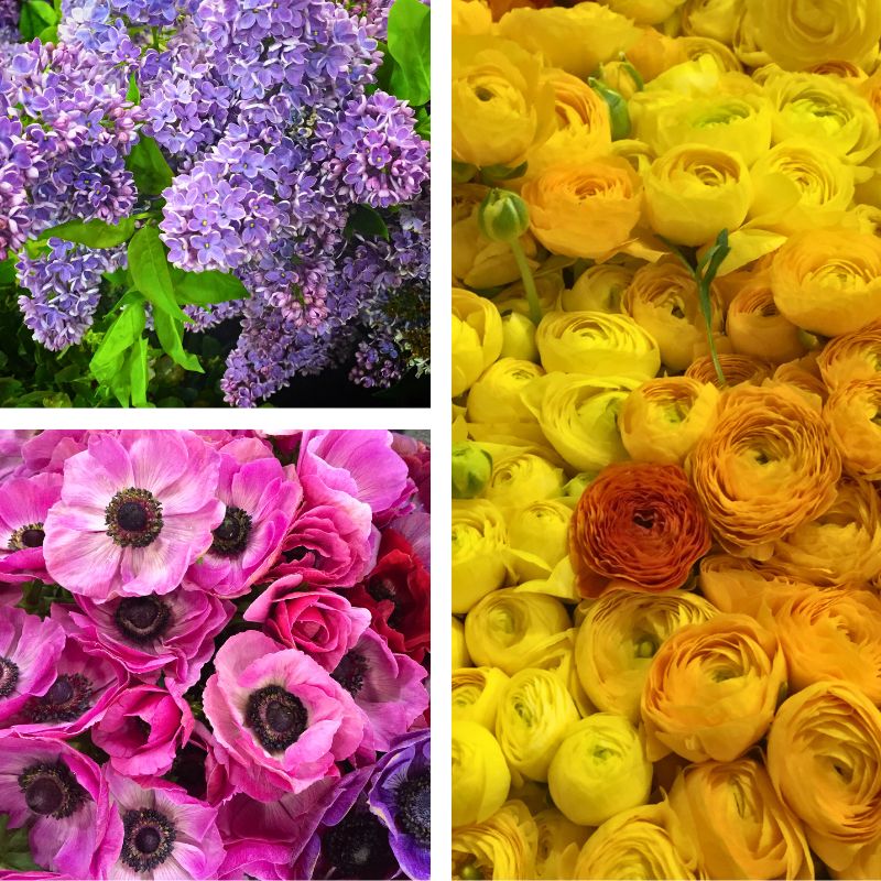 Flowers